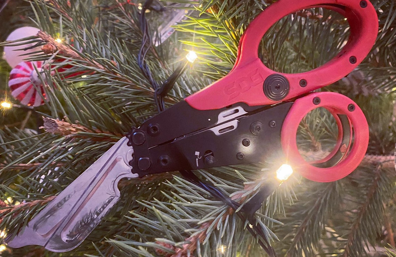 Gift Guide
